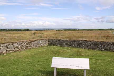 Field