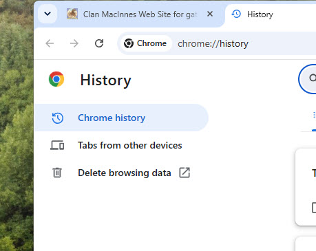 Chrome Clear Data