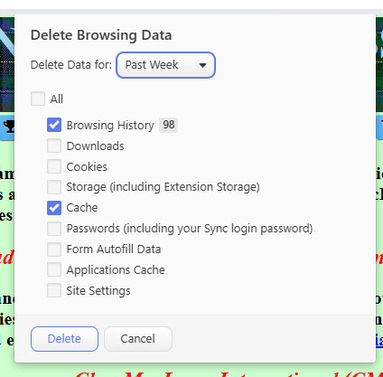 Vivaldi Clear Data Pcik